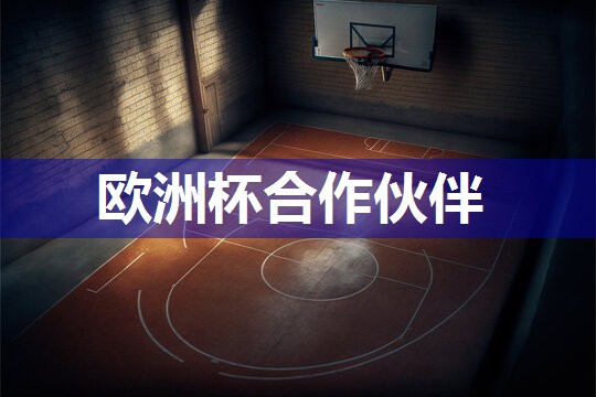 星空体育公司：中老年篮球训练器材推荐