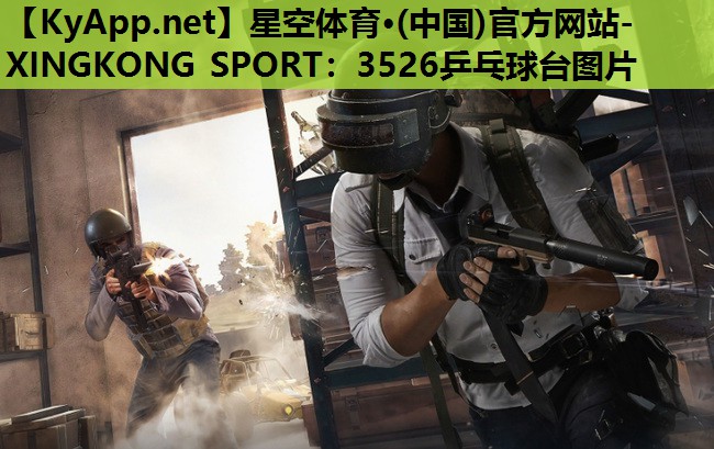 星空体育·(中国)官方网站-XINGKONG SPORT：3526乒乓球台图片